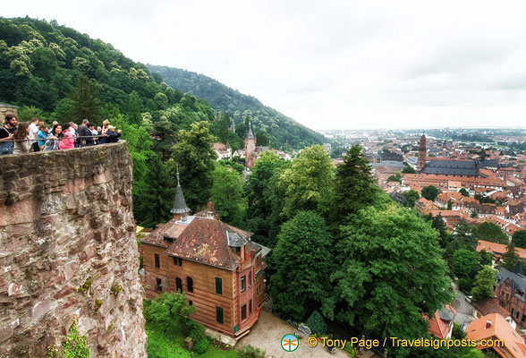 heidelberg-castle_AJP7396.jpg